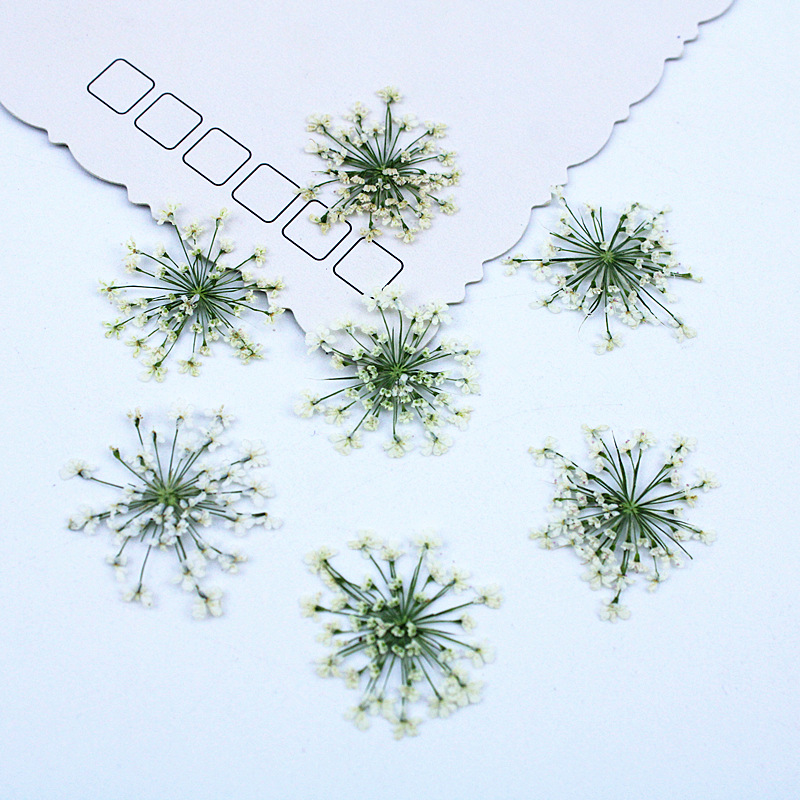 Resin Art Baby - 500 szt. Koronkowe kwiaty Suszone kwiaty