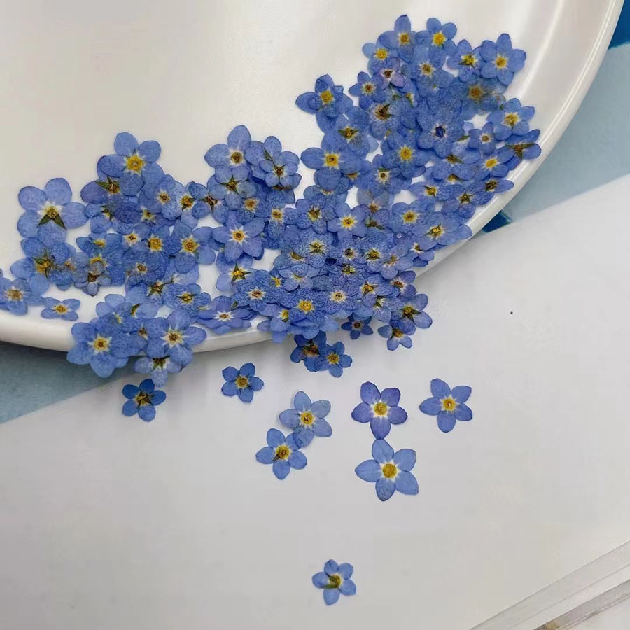 60 szt. Mini Suszonych Kwiatów – Resin Art Baby recenzja i cena