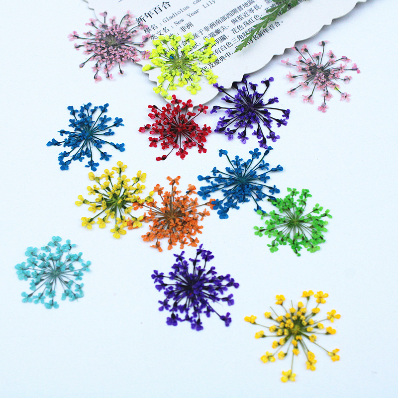 500 szt. Koronkowe kwiaty Susz – Resin Art Baby recenzja i cena